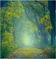 Environment post thumbnail image